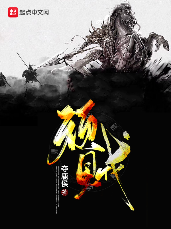 顽贼TXT下载网盘