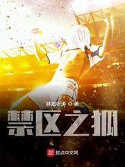 禁区之狐完结了吗